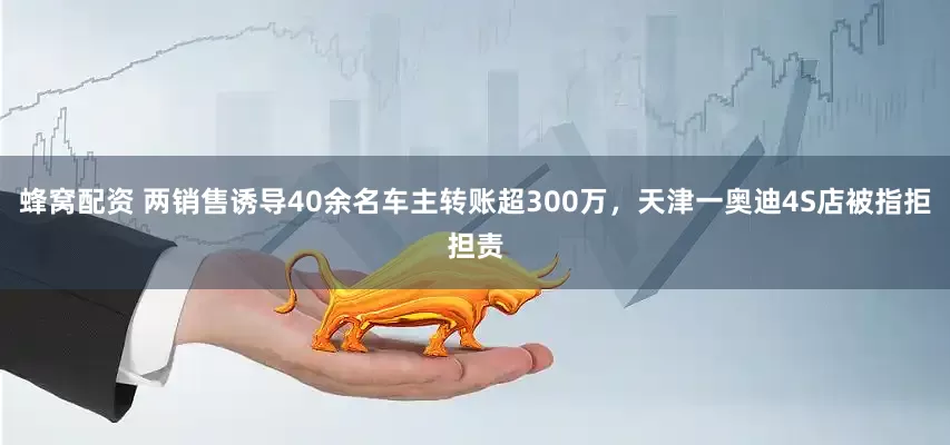 蜂窝配资 两销售诱导40余名车主转账超300万，天津一奥迪4S店被指拒担责