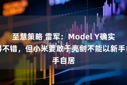 至慧策略 雷军：Model Y确实做得不错，但小米要敢于亮剑不能以新手自居