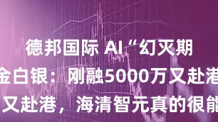 德邦国际 AI“幻灭期”里的真金白银：刚融5000万又赴港，海清智元真的很能打吗？